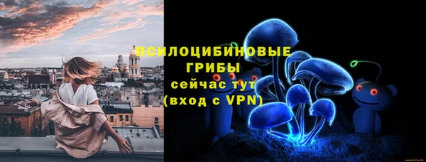 дживик Баксан