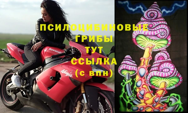 твердый Арсеньев