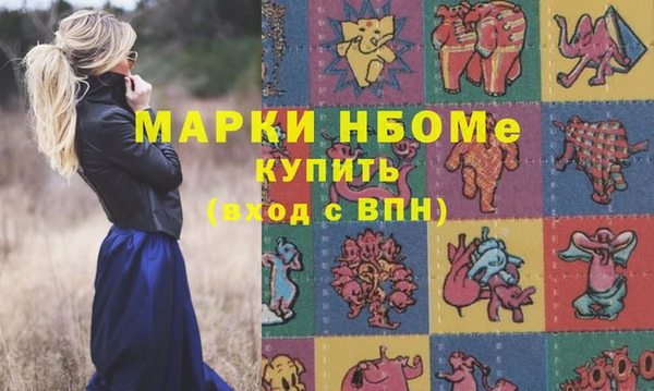 твердый Арсеньев