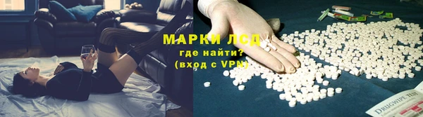 крисы Аркадак