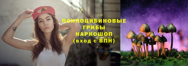 крисы Аркадак