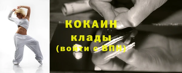 крисы Аркадак