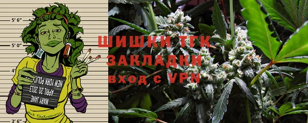 твердый Арсеньев