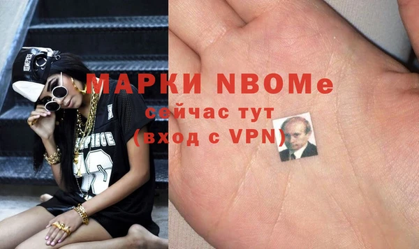 твердый Арсеньев