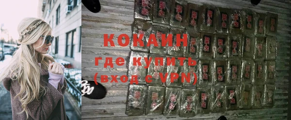 твердый Арсеньев
