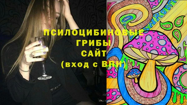 крисы Аркадак
